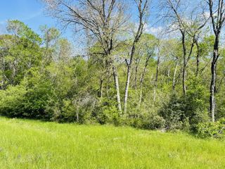 0000 Fm 1791, Huntsville, TX 77340