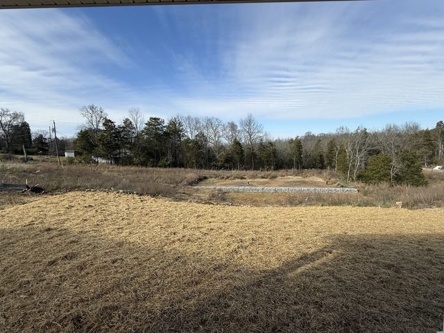 155 Emeline Way, Mount Juliet, TN 37122