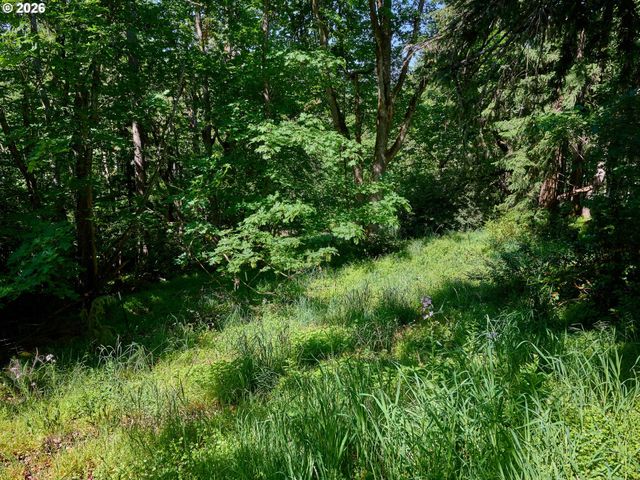 238 ROCK St, Silverton, OR 97381