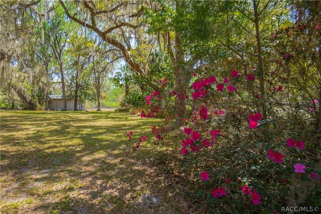 8050 S Baker Avenue, Floral City, FL 34436