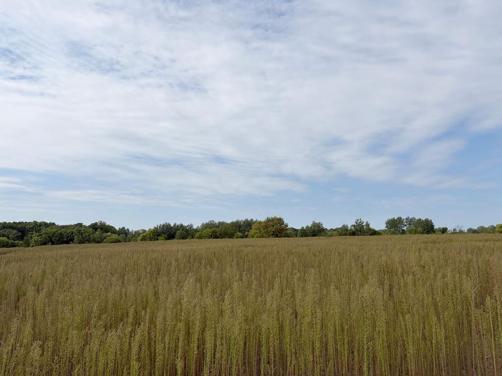 TBD (L4-SM East) Yellowpine Court NW, Isanti, MN 55040 — exterior