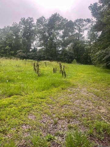 19925 Perrin Ferry Rd, Springfield, LA 70462