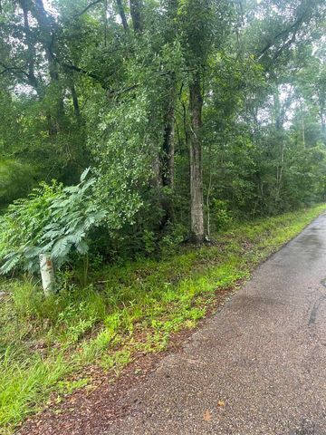19925 Perrin Ferry Rd, Springfield, LA 70462
