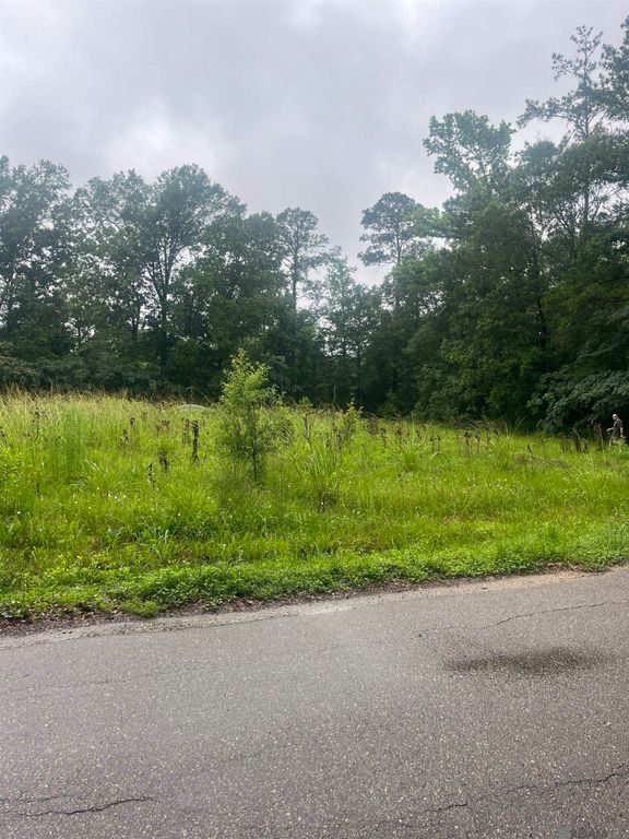 19925 Perrin Ferry Rd, Springfield, LA 70462