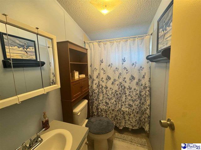 4341 Lake Swamp Road, Timmonsville, SC 29161