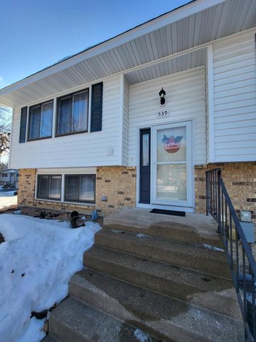 539 98th Avenue NE, Blaine, MN 55434