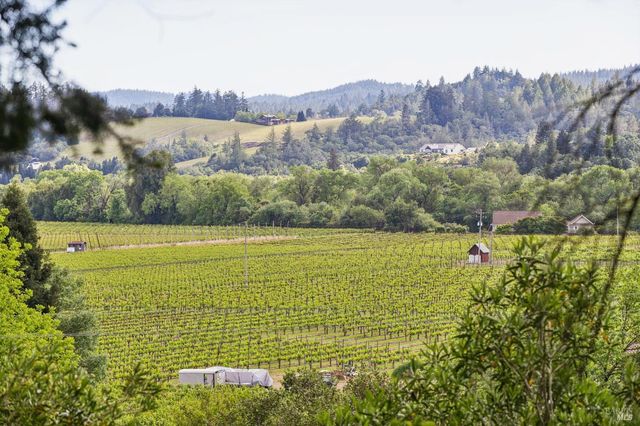 801 Dry Creek Rd, Healdsburg, CA 95448