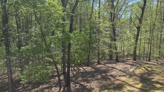 7032 Camp Falls Court, Winston, GA 30187