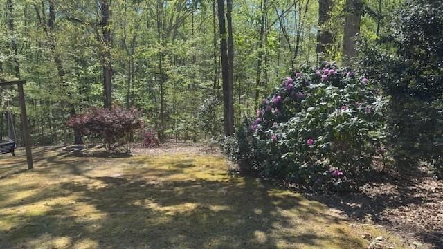 7032 Camp Falls Court, Winston, GA 30187