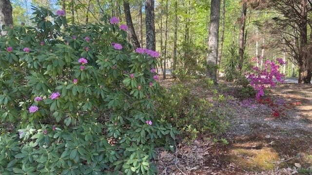 7032 Camp Falls Court, Winston, GA 30187