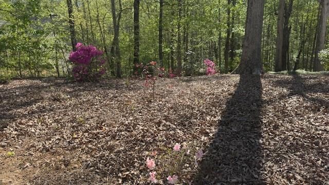 7032 Camp Falls Court, Winston, GA 30187