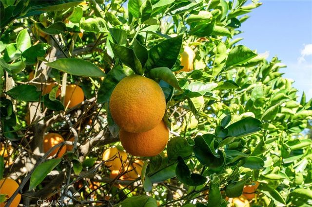 608 Monterey Street, Redlands, CA 92373