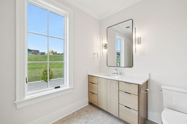 8725 Weller Ln, College Grove, TN 37046