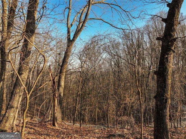 LOT 3 Mount Mincie Road, Murrayville, GA 30564