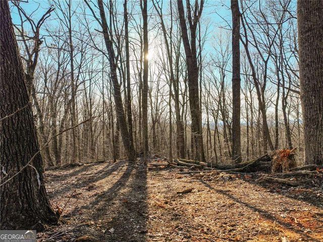 LOT 3 Mount Mincie Road, Murrayville, GA 30564