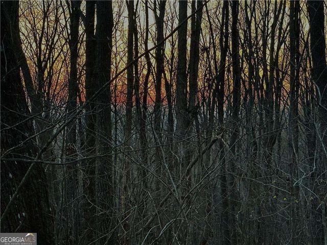 LOT 3 Mount Mincie Road, Murrayville, GA 30564