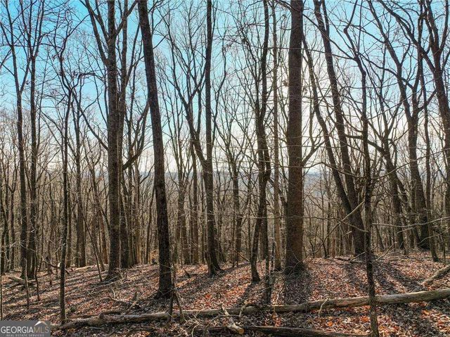 LOT 3 Mount Mincie Road, Murrayville, GA 30564