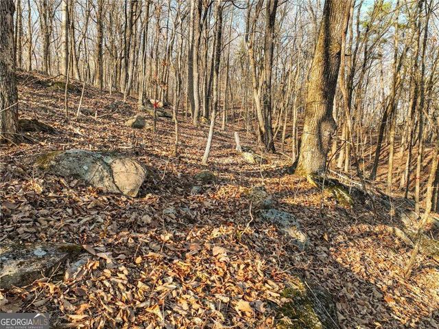 LOT 3 Mount Mincie Road, Murrayville, GA 30564