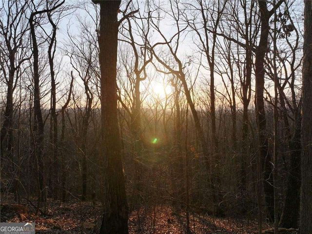 LOT 3 Mount Mincie Road, Murrayville, GA 30564