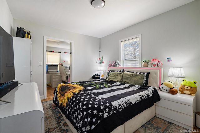 236 Maple Place, Mineola, NY 11501