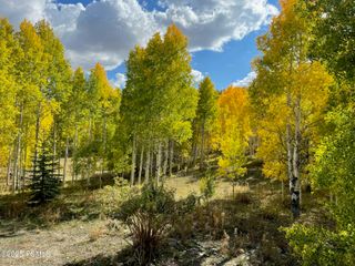 3954 Blue Spruce Drive, Heber City, UT 84032