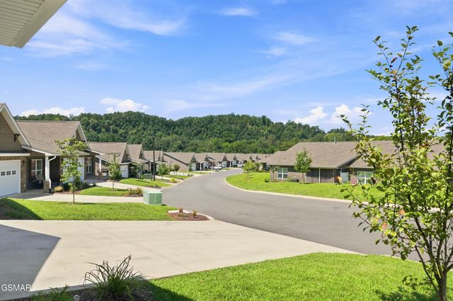 643 Snowflower Circle, Pigeon Forge, TN 37863