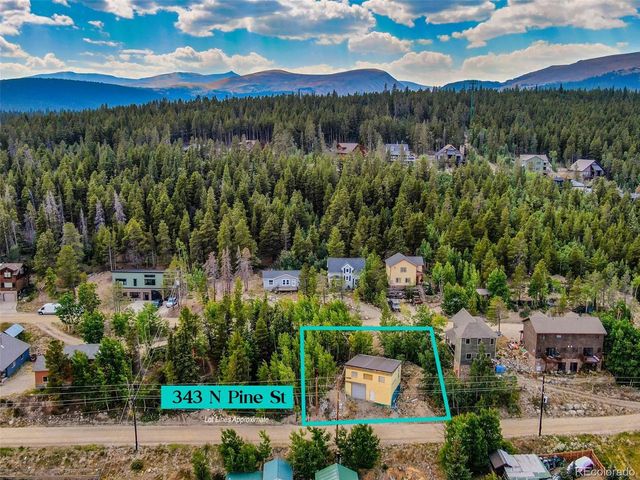 343 N Pine St, Alma, CO 80420