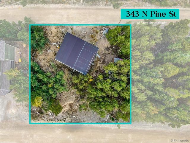 343 N Pine St, Alma, CO 80420