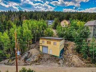 343 N Pine St, Alma, CO 80420