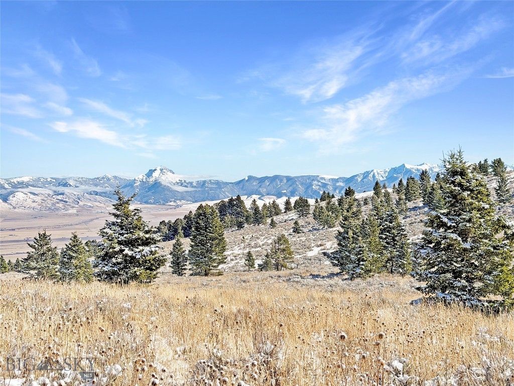 Lot 49 Shining Mountains Unit 3- Boiler Springs RD, Ennis, MT 59729 photo 2