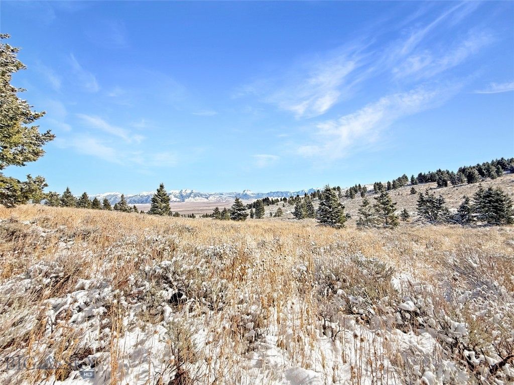 Lot 49 Shining Mountains Unit 3- Boiler Springs RD, Ennis, MT 59729 photo 3