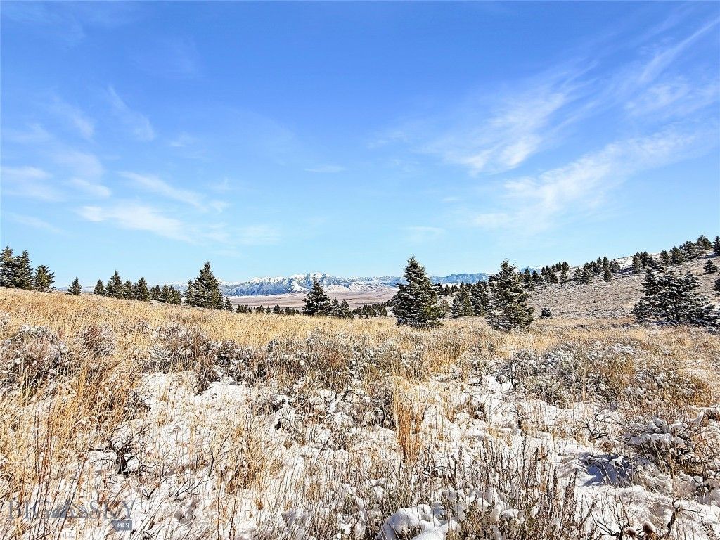 Lot 49 Shining Mountains Unit 3- Boiler Springs RD, Ennis, MT 59729 photo 4