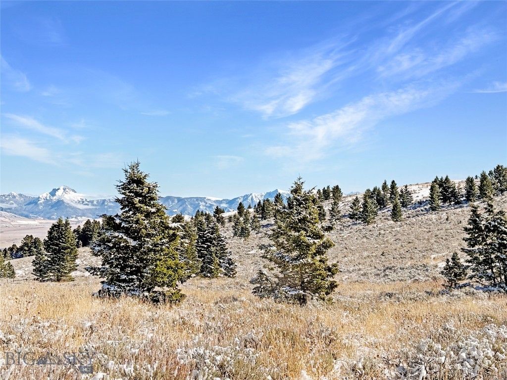 Lot 49 Shining Mountains Unit 3- Boiler Springs RD, Ennis, MT 59729 photo 5