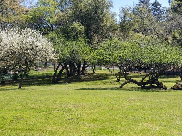 9535 Castle Ln, Newcastle, CA 95658