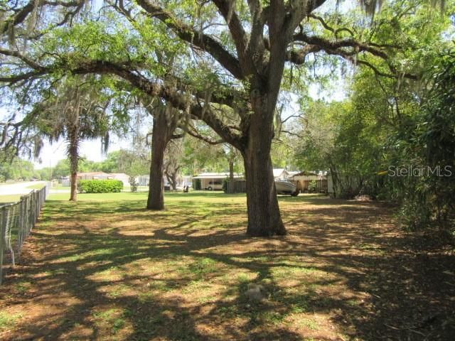 SE 102ND COURT RD, Summerfield, FL 34491