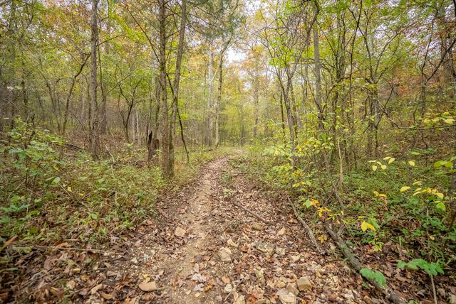 20784 County Road 207, Eminence, MO 65466