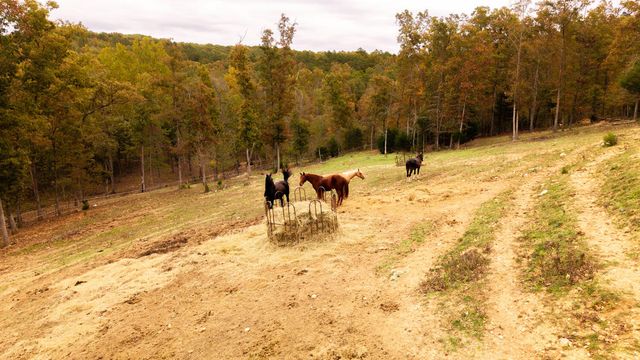 20784 County Road 207, Eminence, MO 65466