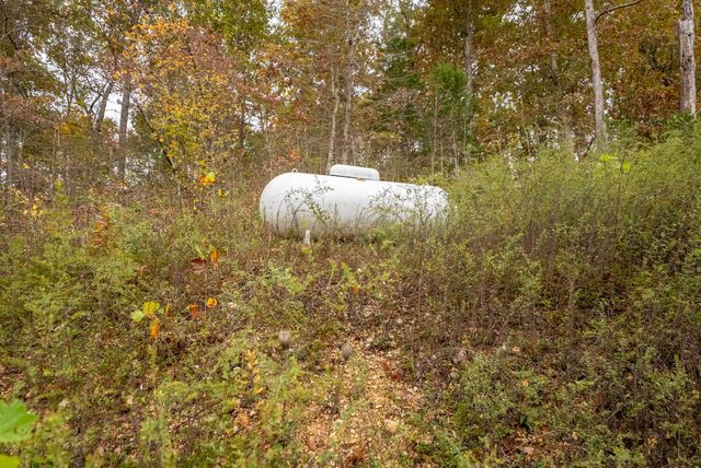 20784 County Road 207, Eminence, MO 65466