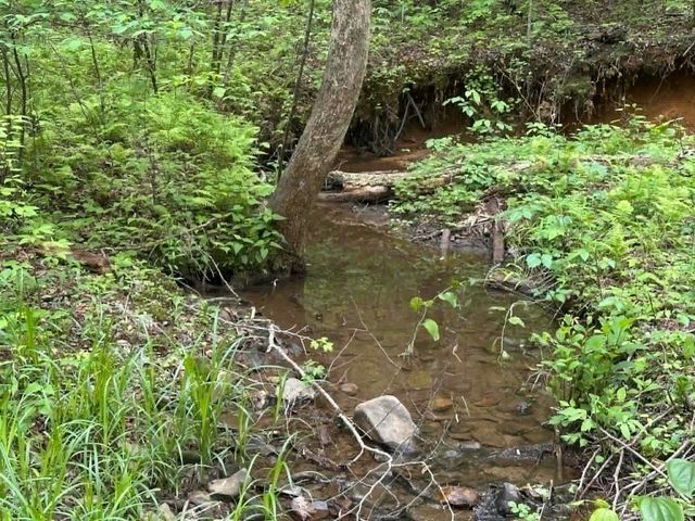 TR 1 Pleasant Hill Trail, Ellijay, GA 30540