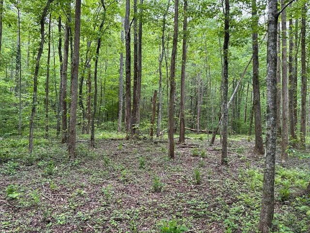 TR 1 Pleasant Hill Trail, Ellijay, GA 30540
