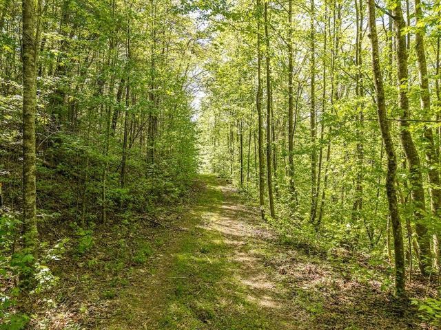 TR 1 Pleasant Hill Trail, Ellijay, GA 30540