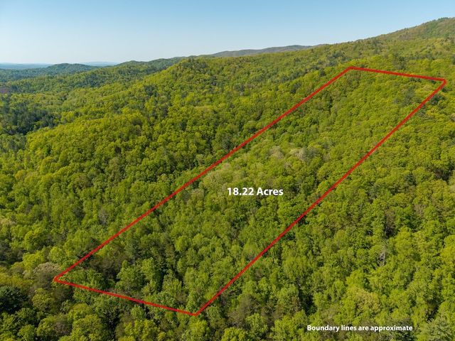 TR 1 Pleasant Hill Trail, Ellijay, GA 30540