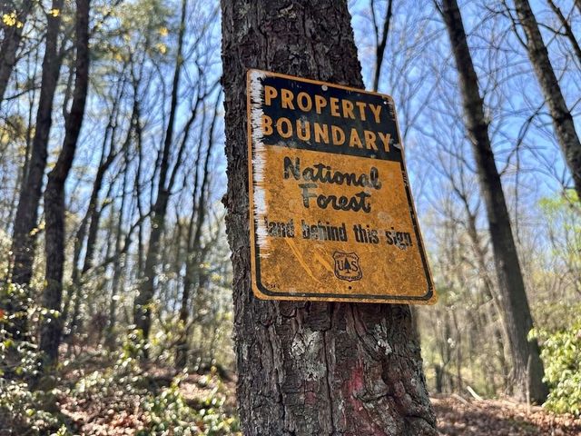 TR 1 Pleasant Hill Trail, Ellijay, GA 30540