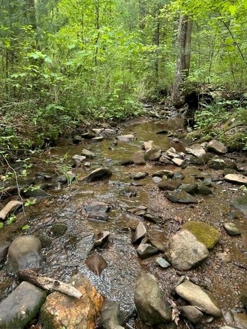 TR 1 Pleasant Hill Trail, Ellijay, GA 30540