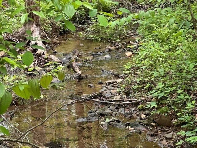 TR 1 Pleasant Hill Trail, Ellijay, GA 30540