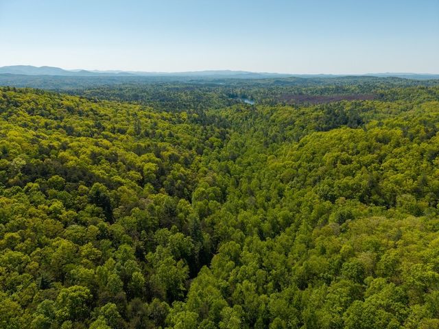 TR 1 Pleasant Hill Trail, Ellijay, GA 30540