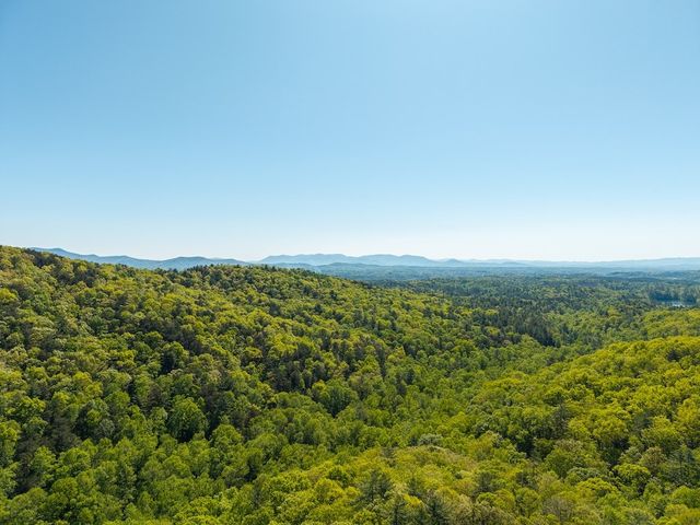 TR 1 Pleasant Hill Trail, Ellijay, GA 30540