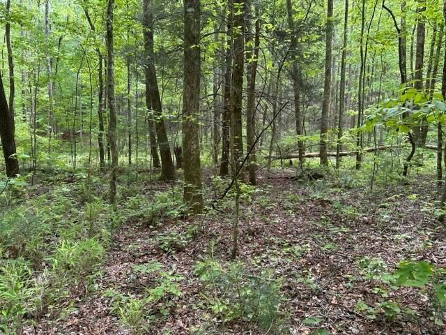 TR 1 Pleasant Hill Trail, Ellijay, GA 30540