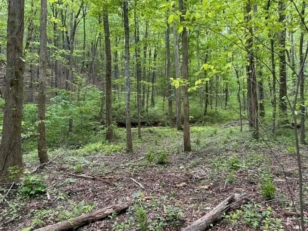 TR 1 Pleasant Hill Trail, Ellijay, GA 30540