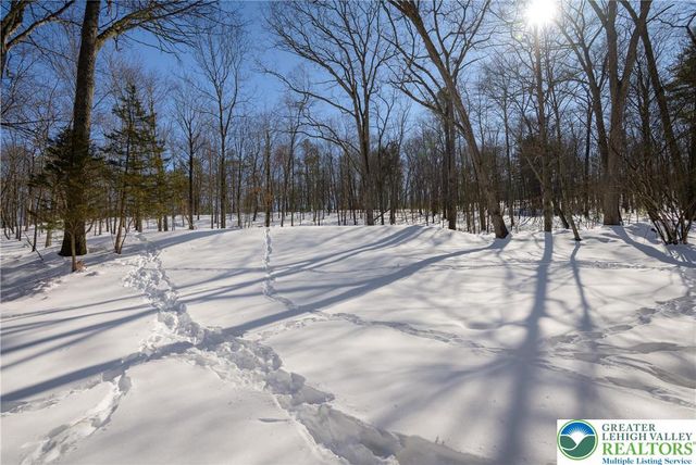 218 Blue Jay Court, Lehman Twp, PA 18324